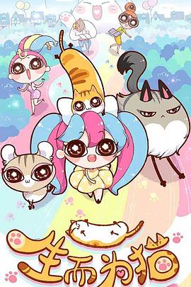 南邵镇seo优化关键词